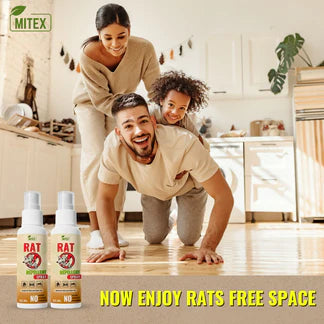 Rat Repellent Spray – Safe, Effective, and Eco-friendly.(Pack of 3)